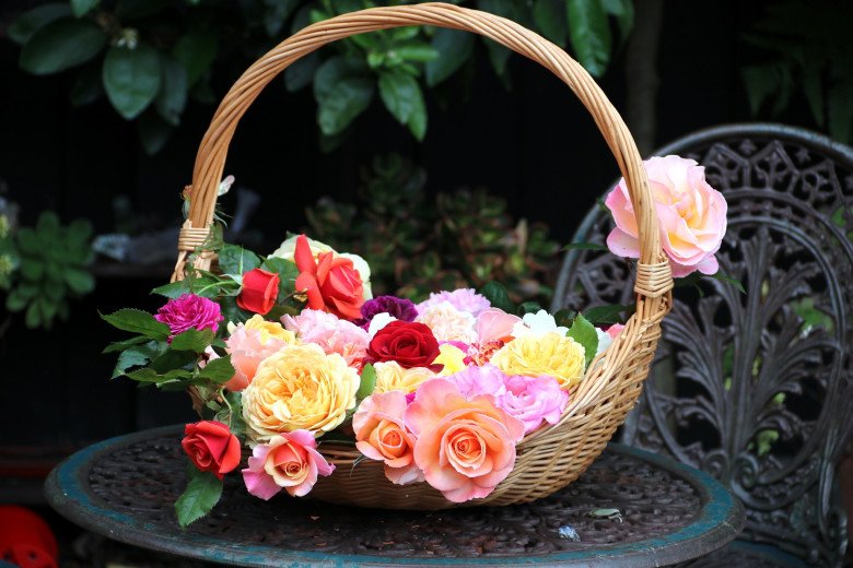 Mẹ Việt ở New Zealand trồng trăm loại hoa hồng đẹp như tranh, đi công tác vài tháng vườn vẫn tươi tốt - 10