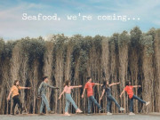 Xem ăn chơi - 7 điểm du lịch Tết Dương ngay gần Sài Gòn, chi phí chỉ từ 1 triệu/người