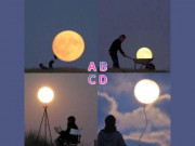 Eva tám - Trắc nghiệm tâm lý: Theo bạn, bức hình nào là ghép?