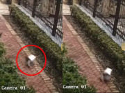 Tin tức - Ra lấy hàng muộn 20 phút nhưng không thấy đâu, cô gái định mắng shipper, ngỡ ngàng trước "thủ phạm"