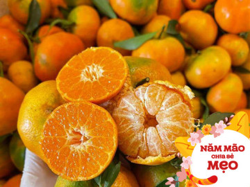 Mua cam Canh ăn Tết chọn quả có cuống đầy hay lõm, người trồng lâu năm mách mẹo, ai không biết sẽ thiệt