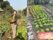 Nhà đẹp - Cựu MC nhiều con nhất nhì nhà đài VTV khoe vườn rau tự trồng, cảnh tỉnh những ai muốn “bỏ phố về rừng”