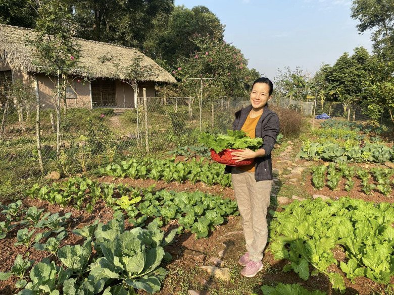 Cựu MC nhiều con nhất nhì nhà đài VTV khoe vườn rau tự trồng, cảnh tỉnh những ai muốn “bỏ phố về rừng” - 2