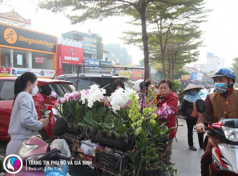 Không chỉ ở cửa hàng, ngay cả những xe hàng rong cũng có buôn bán loại hoa này và được nhiều người quan tâm.