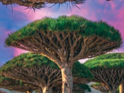 Clip Eva - Hòn đảo "kỳ ảo" bậc nhất thế giới, cảnh sắc như ngoài hành tinh