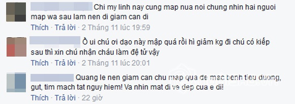 Chiếc áo dài mà nữ ca sĩ nổi tiếng này lựa chọn đã phô diễn toàn bộ nhược điểm của cô. Nhiều người nhận xét, vóc dáng béo tròn của Mỹ Linh không phù hợp khi mặc áo dài. 