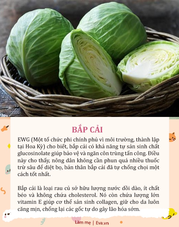 5 loại rau ít thuốc trừ sâu đến khó ngờ, rất tốt cho bé nhưng mẹ thường bỏ quên - 3