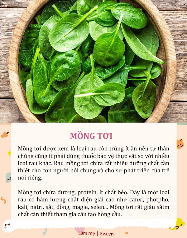 5 loại rau ít thuốc trừ sâu đến khó ngờ, rất tốt cho bé nhưng mẹ thường bỏ quên - 4
