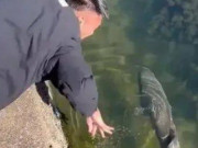 Tin tức - Thấy có người định bắt con cá lớn, người đàn ông hoảng hồn hét lớn: "Đừng chạm vào"