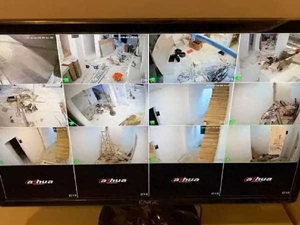 Vì hoảng sợ do nghe các âm thanh lạ vào ban đêm, cùng với những lời kể lạnh gáy của hàng xóm, hai anh em quyết định lắp camera để đi tìm sự thật