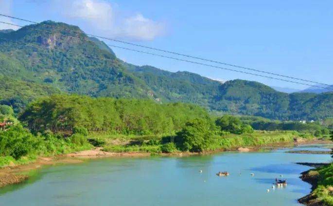 Thấy có người định bắt con cá lớn, người đàn ông hoảng hồn hét lớn: amp;#34;Đừng chạm vàoamp;#34; - 2