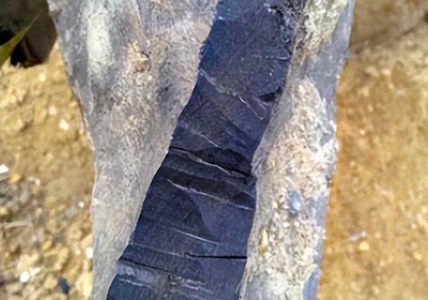 Đào được cây gỗ bóng mịn tỏa ra mùi thơm lạ, đem đi thẩm định chuyên gia phán: amp;#34;Nhìn là biết báu vật vô giáamp;#34; - 2