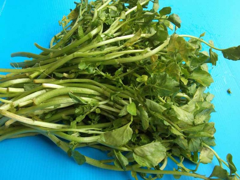 Loại rau tṓt nhất thḗ giới ngừa ᵭược K, nước Mỹ chấm 10 ᵭiểm, có sẵn ở chợ Việt, 25.000ᵭ/kg - 4