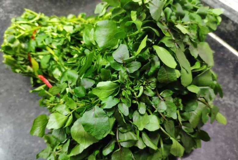 Loại rau tṓt nhất thḗ giới ngừa ᵭược K, nước Mỹ chấm 10 ᵭiểm, có sẵn ở chợ Việt, 25.000ᵭ/kg - 3