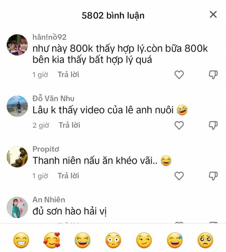 Bình luận dưới video nấu mâm cơm 800k của Lê Anh Nuôi.