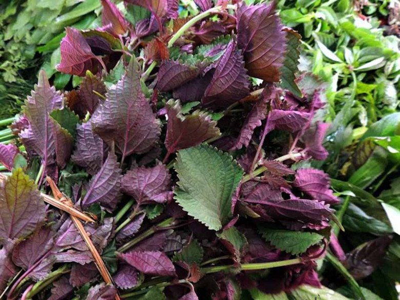 Nó được người Nhật ví là “lá hồi sinh”, chợ Việt bán rất nhiều, 5.000 đồng được cả nắm to - 1