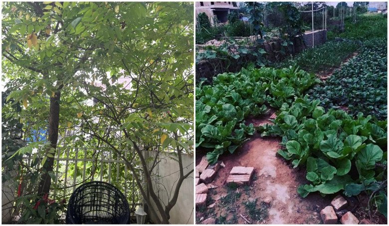 Hiện tại, nữ ca sĩ có cuộc sống bình yên bên chồng trẻ vè con gái khiến nhiều người ngưỡng mộ.