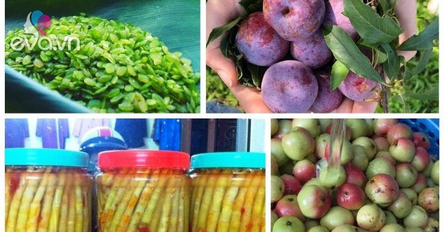 View - 7 đặc sản Yên Bái mua về làm quà thì xuất sắc, có món vào mùa là cháy hàng liên tục
