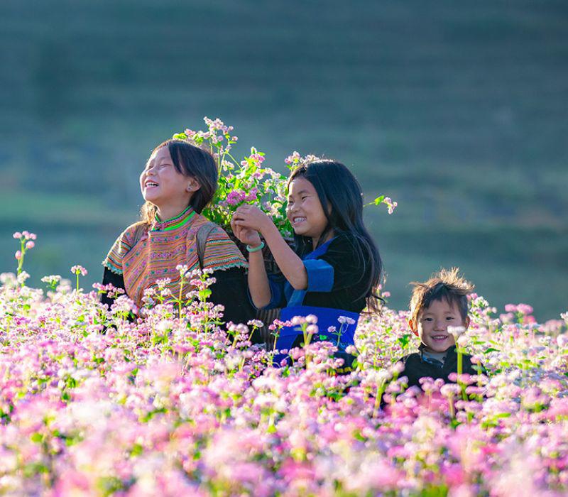 Ngoài ra vào dịp tháng 4 đến tháng 5 cũng có hỏa nở trái vụ màu trắng, do đó bạn cũng có thể vi vu đến đây vào thời gian này. 
