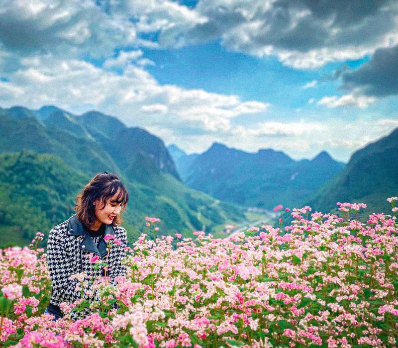 Làng văn hóa Lũng Cẩm là nơi trồng nhiều hoa nhất ở Hà Giang.
