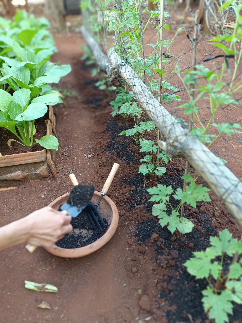 Nam công nhân tan ca tự trồng rau phục vụ bữa ăn hàng ngày, chia sẻ bí quyết mát tay nhờ khâu làm đất - 6