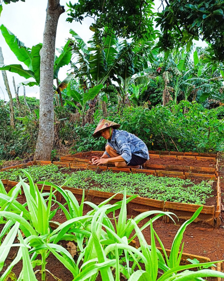 Nam công nhân tan ca tự trồng rau phục vụ bữa ăn hàng ngày, chia sẻ bí quyết mát tay nhờ khâu làm đất - 4