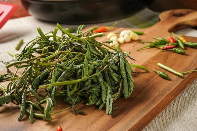 Loại rau này ở nước ta có rất nhiều, ngon và sạch lại rất tốt cho sức ...