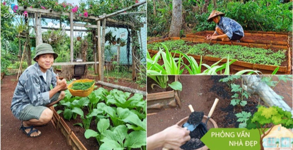 Nam công nhân tan ca tự trồng rau phục vụ bữa ăn hàng ngày, chia sẻ bí quyết mát tay nhờ khâu làm đất - 6