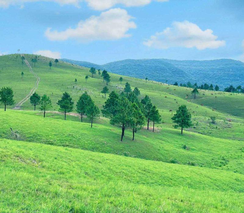 Du lịch Quảng Ninh