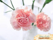Eva tám - Người càng đơn giản thì càng hạnh phúc
