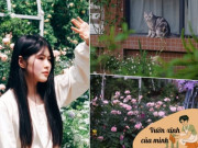 Nhà đẹp - Bị trầm cảm, Gen Z lui về làm vườn, biến sân thượng 260m2 thành khu vườn “trên mây” để chữa lành vết thương