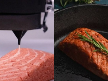 Cá hồi làm bằng công nghệ in 3D ăn có ngon như cá hồi bình thường?