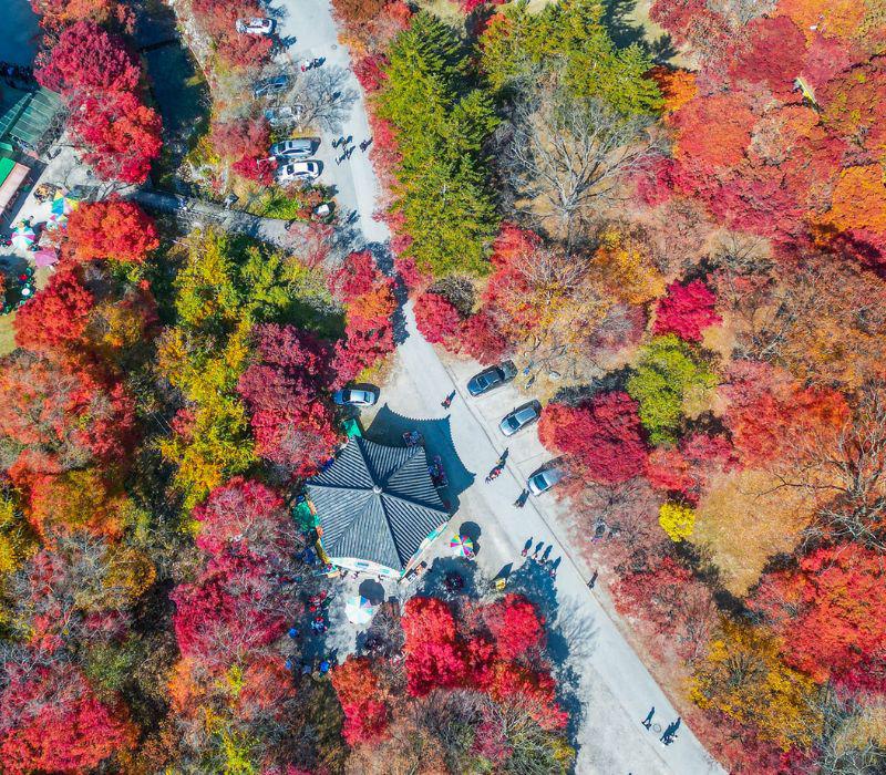 Mùa thu Hàn Quốc bắt đầu từ tháng 9 cho đến tháng 11 hàng năm. Đây là thời điểm mà đất trời Hàn Quốc "gây sốt" khi thiên nhiên khoác lên một tấm áo mới, toát lên mình vẻ thơ mộng độc đáo. 

