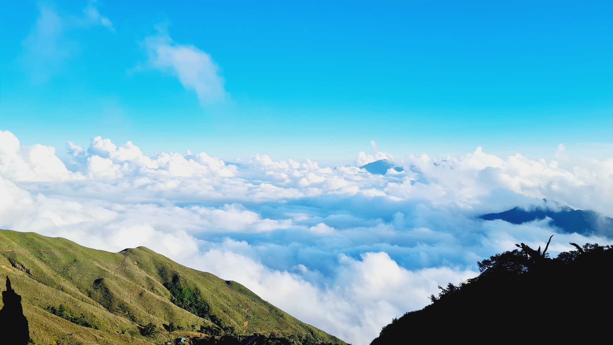 View - Chinh phục thiên đường mây, mê mẩn ngắm loài hoa đẹp như mơ nơi đỉnh núi