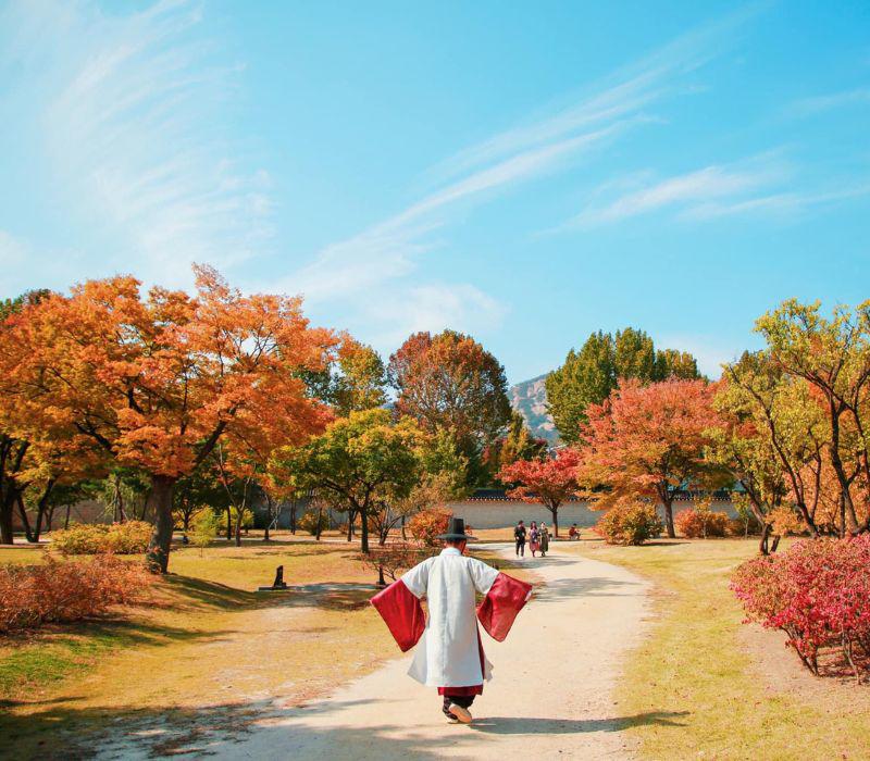 Du khách đến Hàn Quốc không thể không thuê cho mình một bộ hanbok và tạo dáng chụp ảnh.
