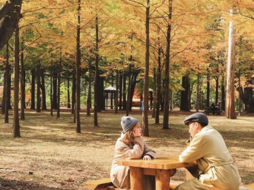 Ghé thăm Hàn Quốc mùa đẹp nhất trong năm: Khung cảnh lãng mạn như chỉ có trong phim