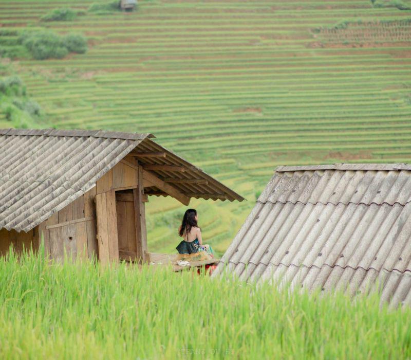 Nhưng để “bắt” được những khung hình đẹp, nơi có những ruộng bậc thang nổi tiếng, bạn phải đến với La Pán Tẩn, Chế Cu Nha và Zế Xu Phình.
