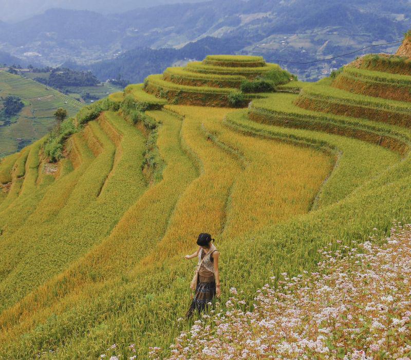 Đường đến với những nơi này dù khá khó khăn vì địa hình đồi núi, nhưng chắc chắn sẽ không hề phí sức bởi cảnh đẹp nơi đây sẽ khiến bạn không muốn rời đi.
