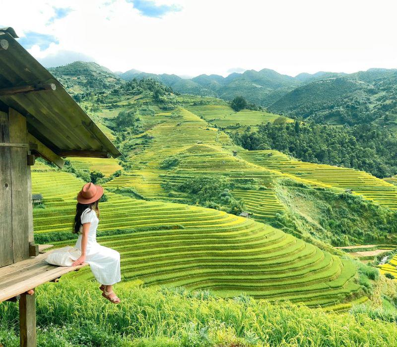 Những thửa ruộng bậc thang hẹp dài uốn lượn quấn quanh những ngọn đồi từ trên cao xuống thấp, tạo thành những mâm xôi vàng óng đẹp đến mê hồn.
