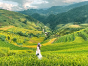 Lifestyle - Chiêm ngưỡng khung cảnh "siêu thực" tại Mù Cang Chải mùa lúa chín