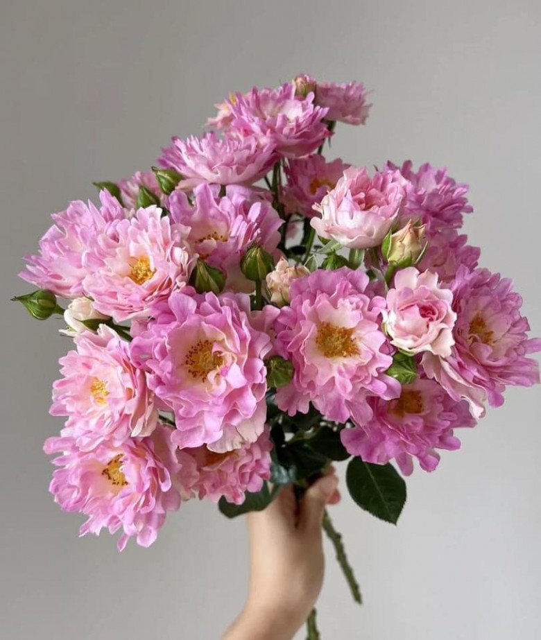 Sở thích cắm hoa của ca sĩ Nguyễn Ngọc Anh, còn chỉ cho người giúp việc cắm những lọ hoa 0 đồng - 11