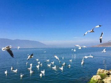 Tâm tĩnh lặng bao nhiêu, phước lành sâu sắc bấy nhiêu