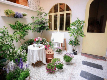 Thuê nhà ở, cô gái cải tạo sân trước thành khu vườn kiểu Pháp chỉ với 10 triệu đồng