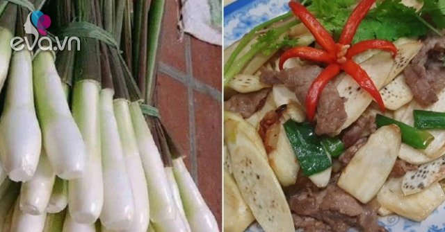 View - Nhìn tưởng sả hóa ra nó là đặc sản của 1 tỉnh, xào với thịt bò ngon cực
