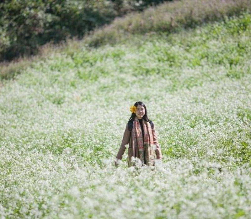 3 tháng cuối năm, những cánh đồng cải trắng trải dài khắp các thung lũng, vươn lên những sườn đồi, bao quanh những bản làng nơi núi rừng Tây Bắc. 
