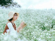 Lifestyle - Ghé Mộc Châu dịp cuối năm săn loài hoa trắng tinh khôi, nở bung đẹp như tiên cảnh