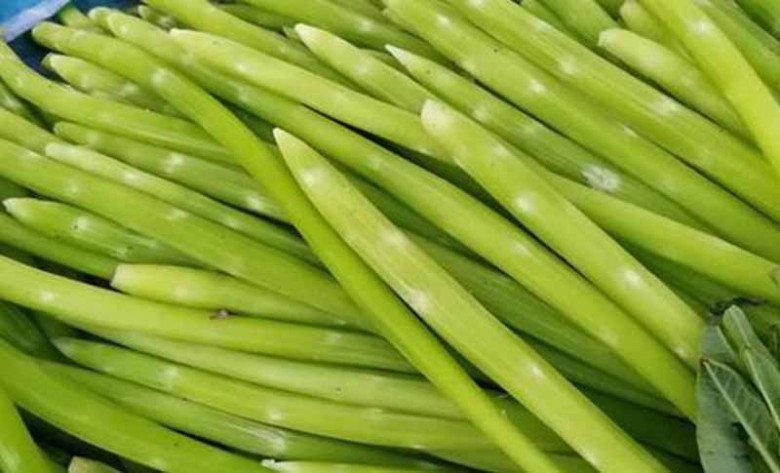 View - Ruột của cây này phơi khô bán đắt hơn thịt, bổ ngang "nhân sâm”, ăn vào giòn giòn như sứa