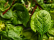 Bà bầu - Rau này là kho chứa axit folic, rất tốt cho người thiếu sắt và bà bầu, ngoài chợ bán rất nhiều