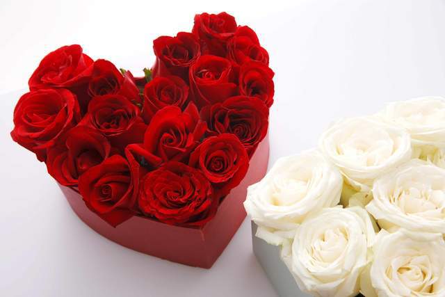 Đây là 3 kiểu phụ nữ đàn ông không dám tùy tiện trêu đùa - 3