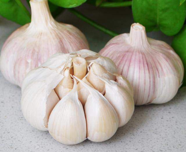 Tỏi là loại gia vị phổ biến có nhiều tác dụng cho sức khỏe. (Ảnh minh họa)